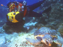 THE DIVER FILMAKER SHOOTING A TURTLE SLEEPING ON THE BOTT... by Alberto Romeo 